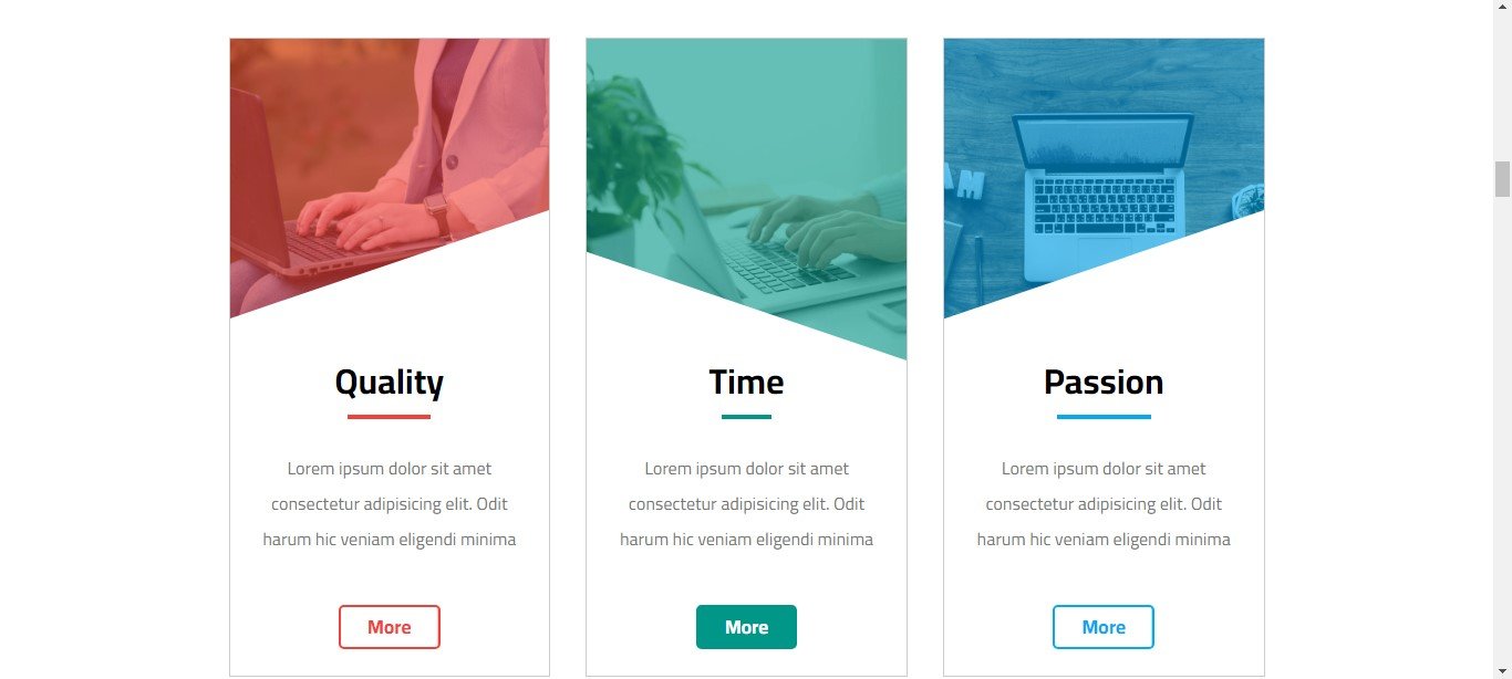 Company Website